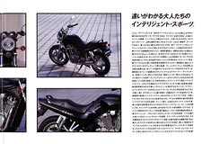 Suzuki VX800 brochure from Japan